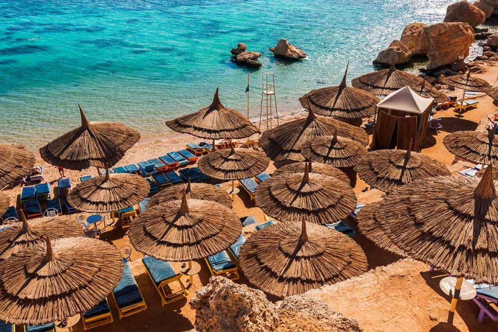 Vacation in the Red Sea