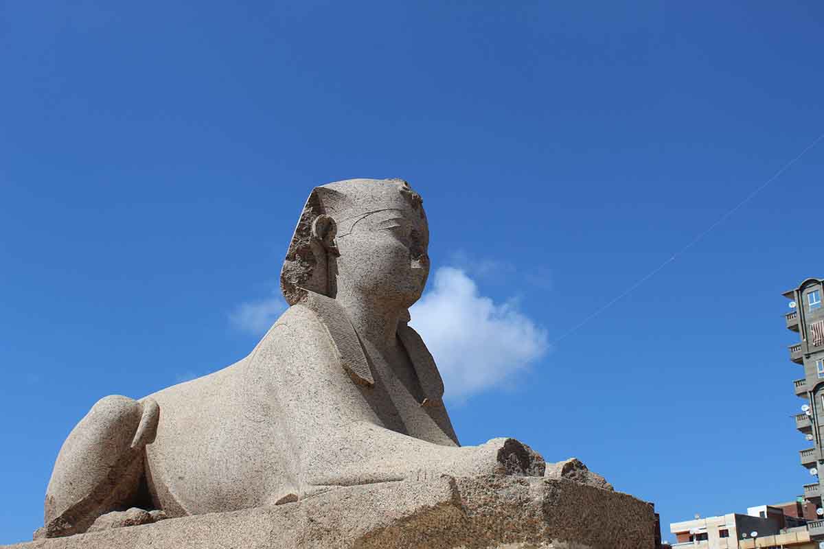 Le sphinx de la colonne de Pompée à Alexandrie, probablement du IVe siècle après J.-C. et provenant du Serapeum.