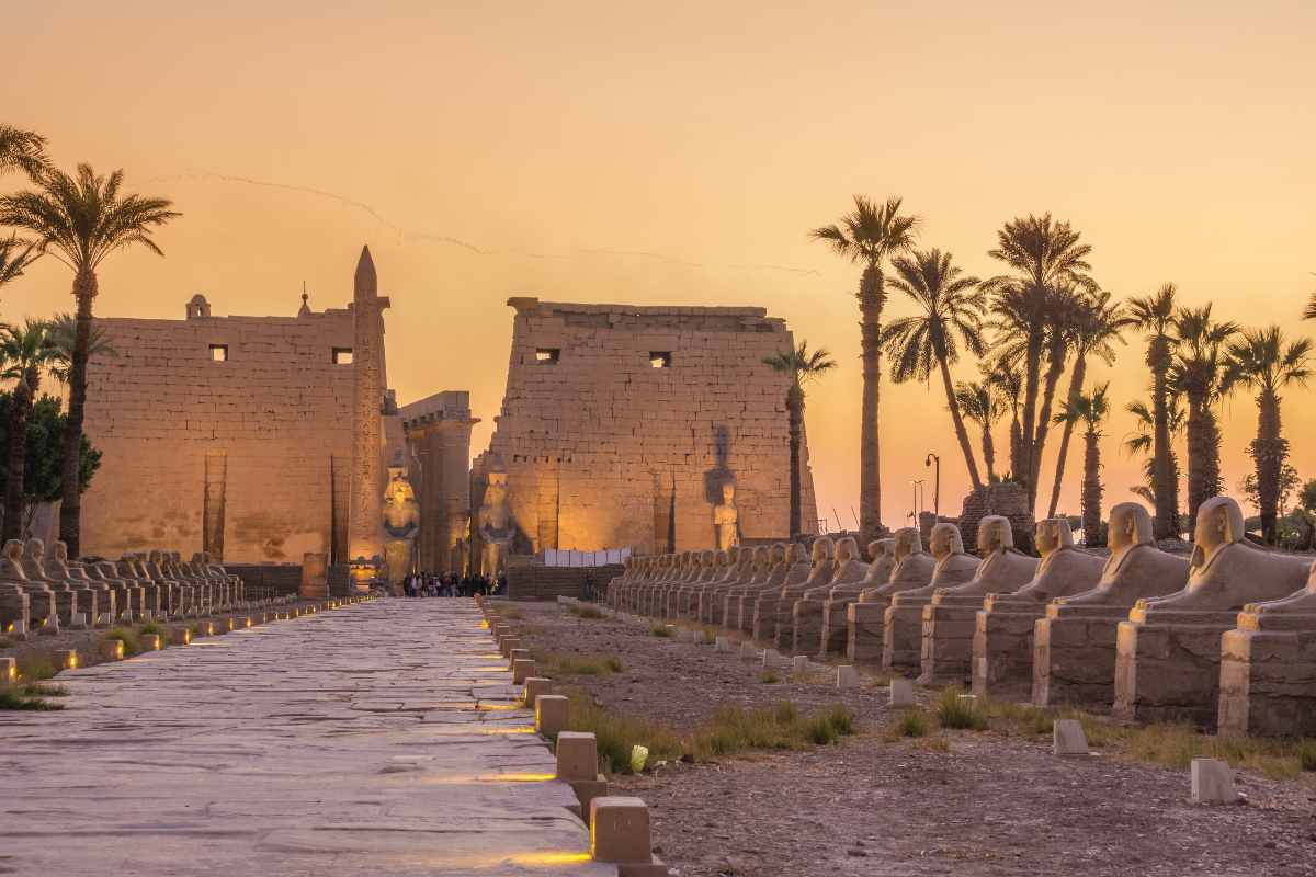 Avenue of the Sphinxes of Luxor at night