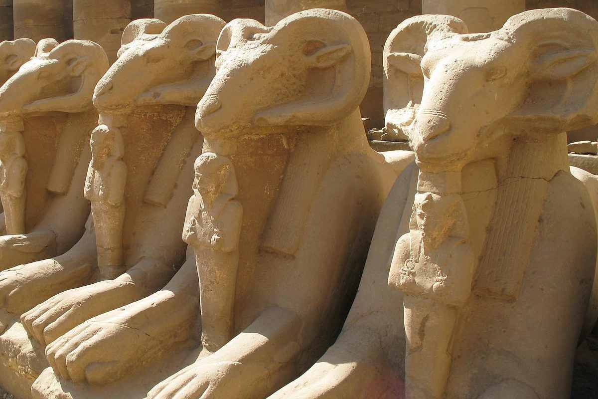 Sphinx Rams