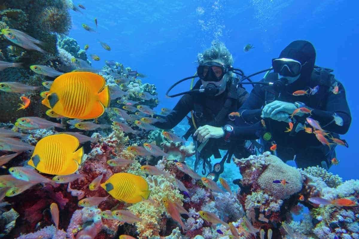 Diving in Sharm el Sheikh