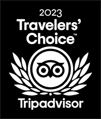 2023 award asdasdsada 2