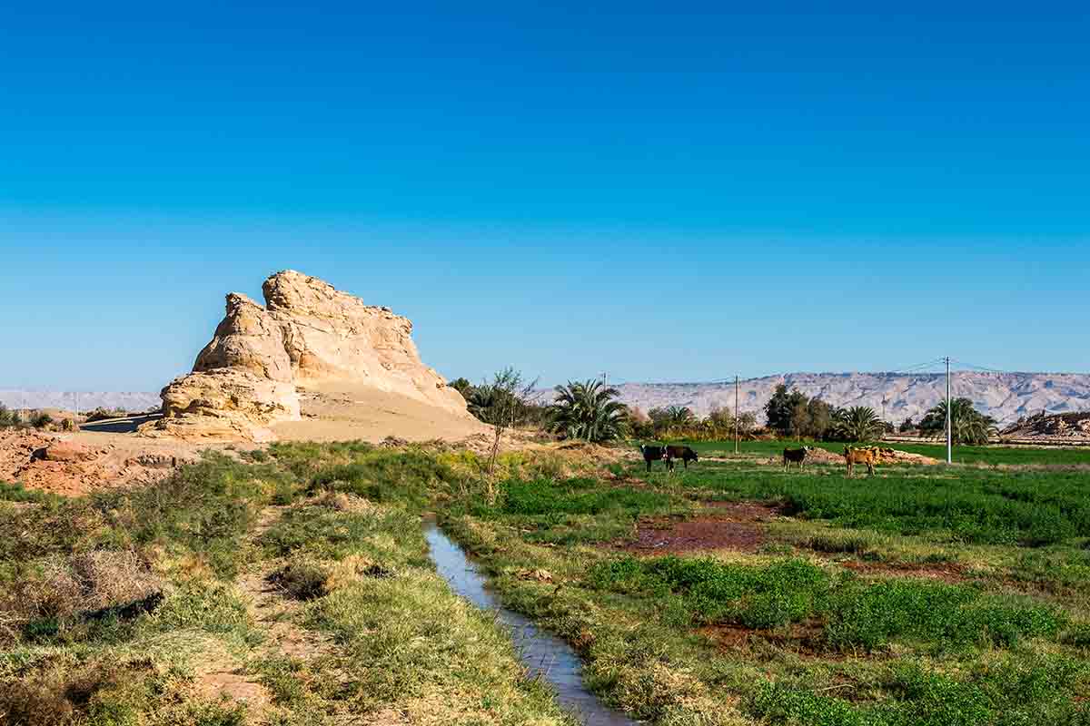 Dakhla