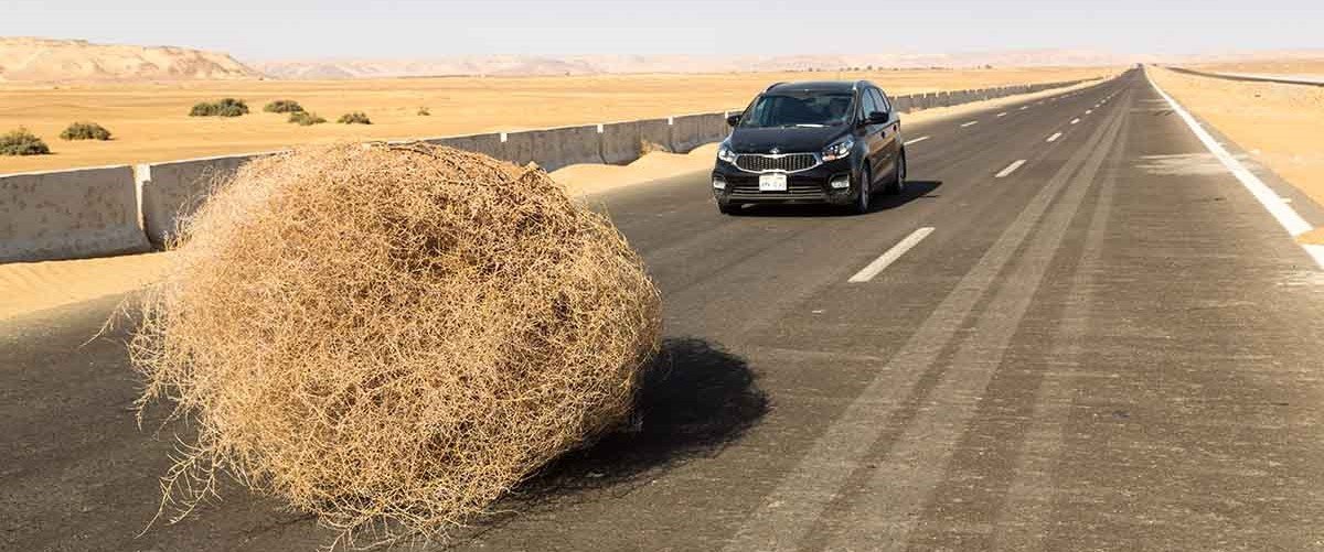 agência de viagens para o Egito