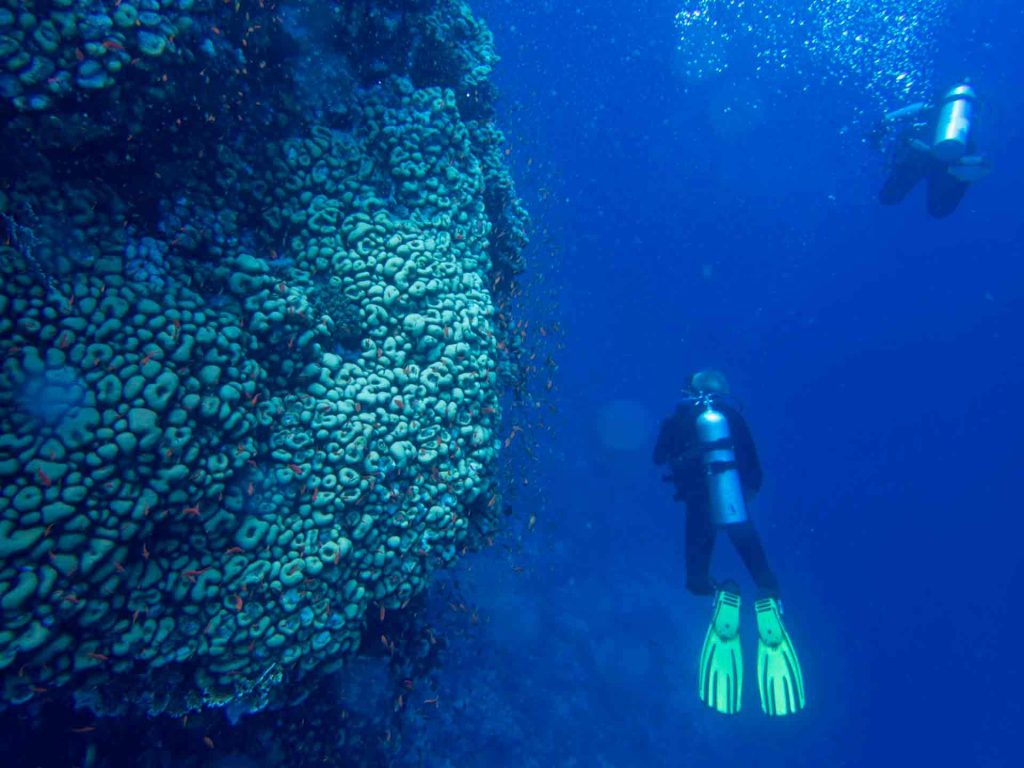 Buceo asdasdsada 2