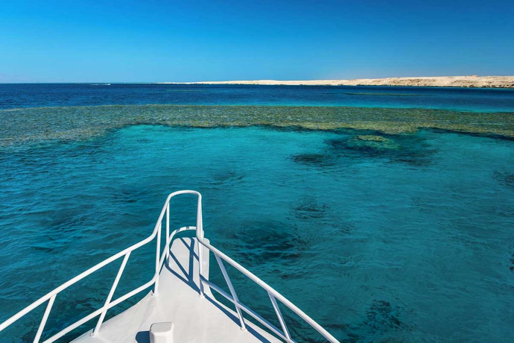 boat Snorkeling Red Sea