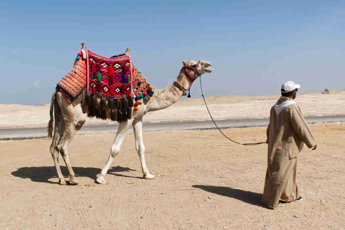 beduinos egipto