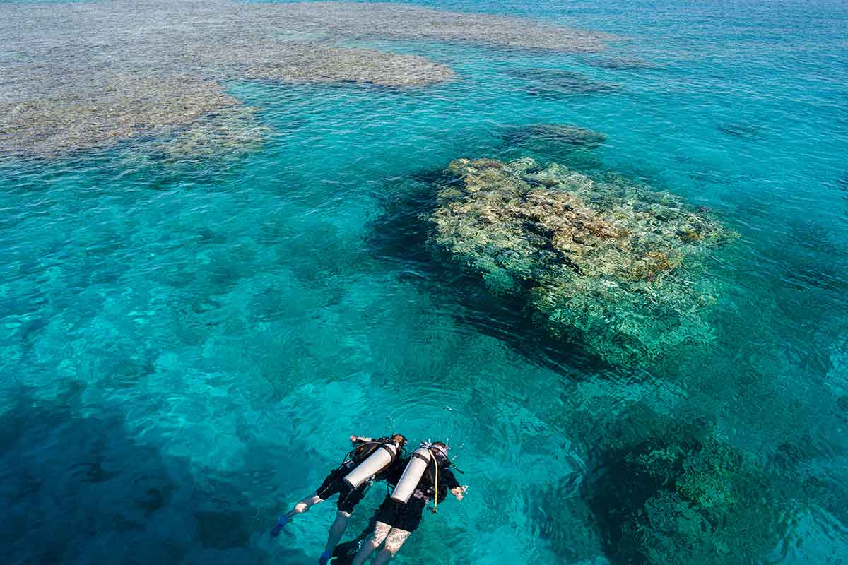 Diving in Sharm el Sheikh