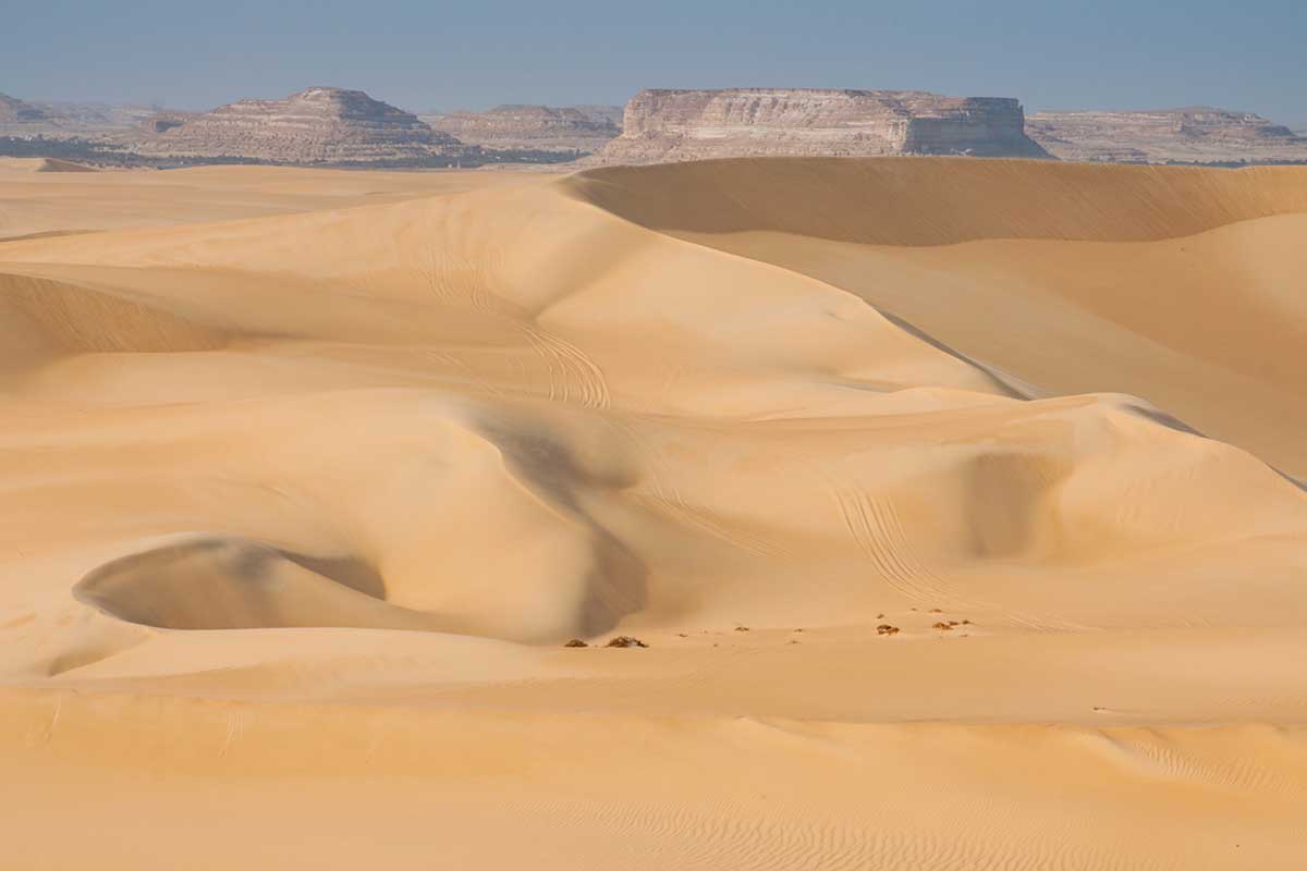 Desierto naturaleza Egipto