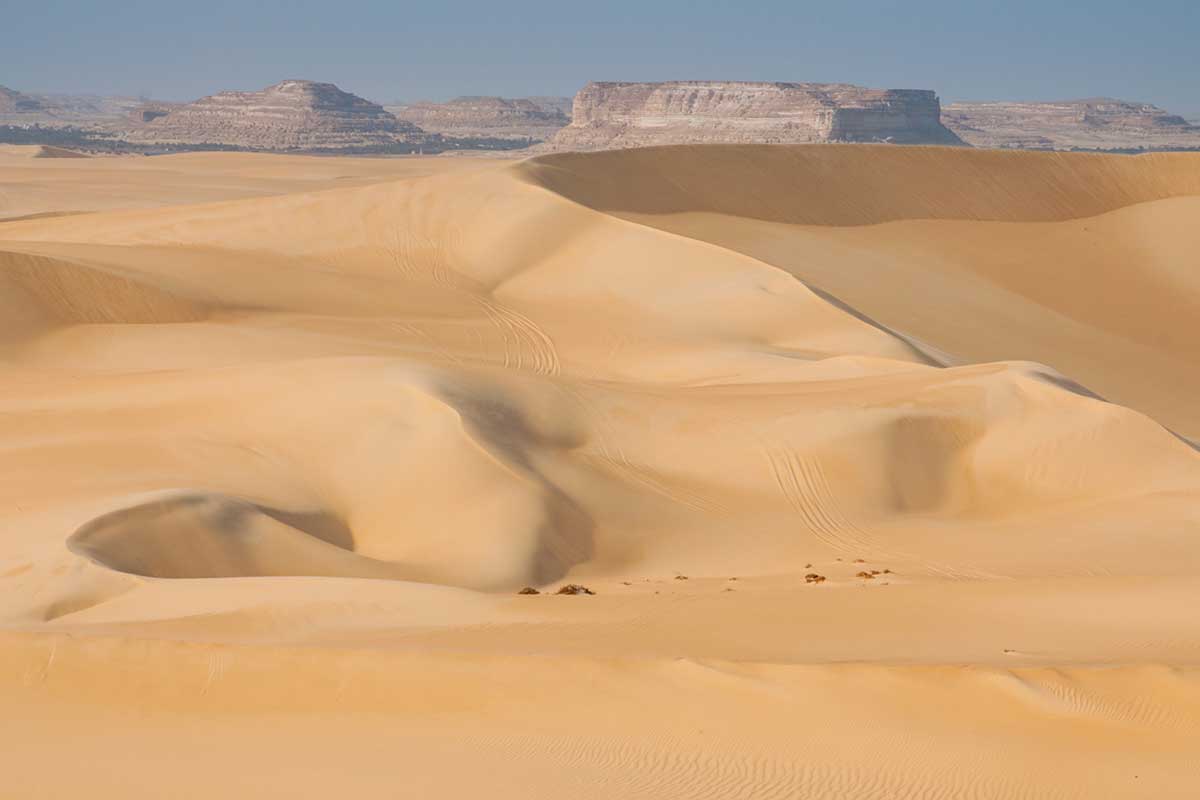 Desert nature Egypt