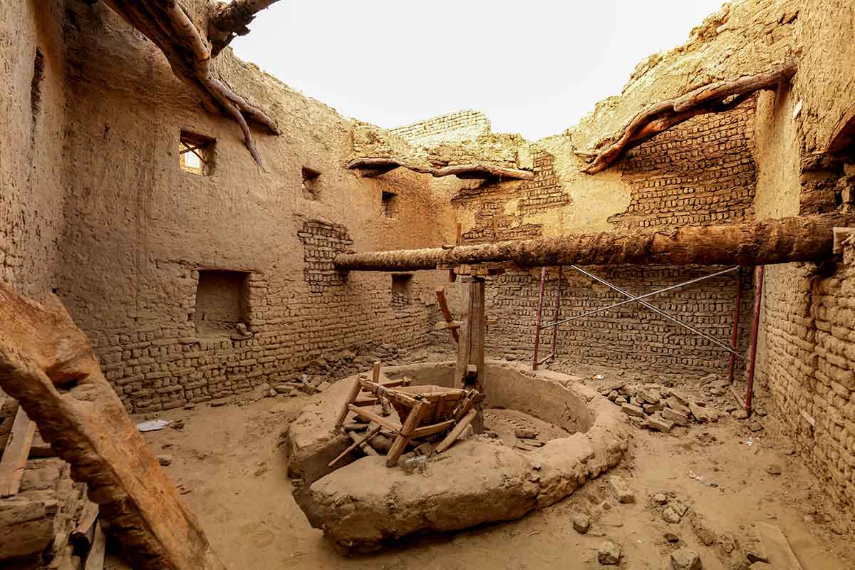 A voir dans l'oasis de Dakhla