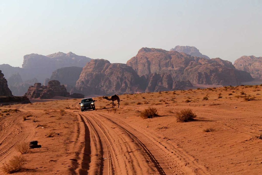 Circuito por Egipto y Jordania 11 días