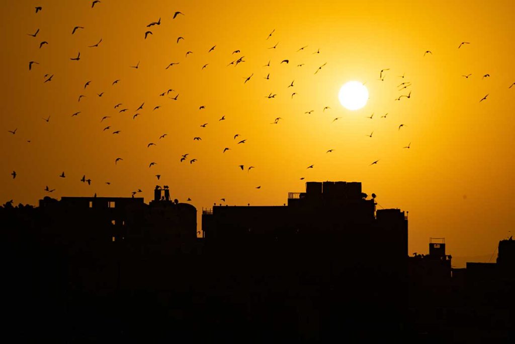 Itinerario Arrivo al Cairo