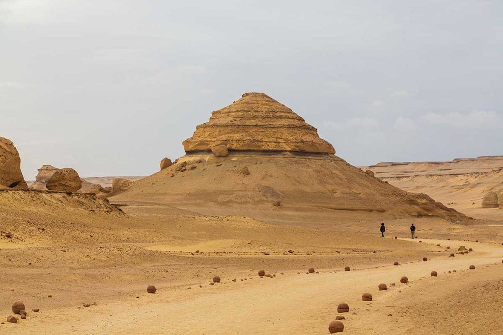 Valle delle Balene Wadi Al Hitan
