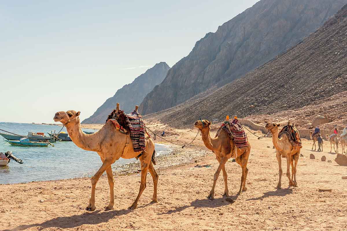 How to get to Dahab Egypt