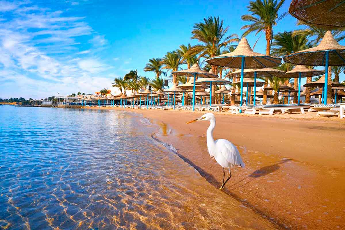 Plages d'Hurghada