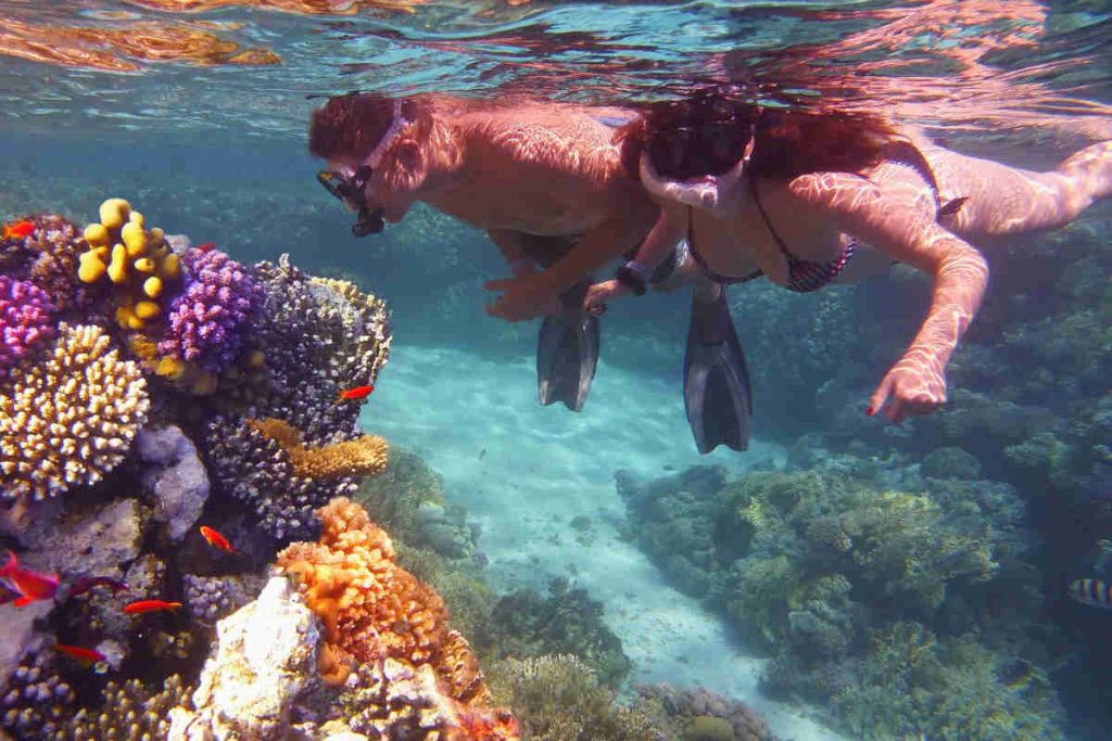 snorkeling mare rosso egitto