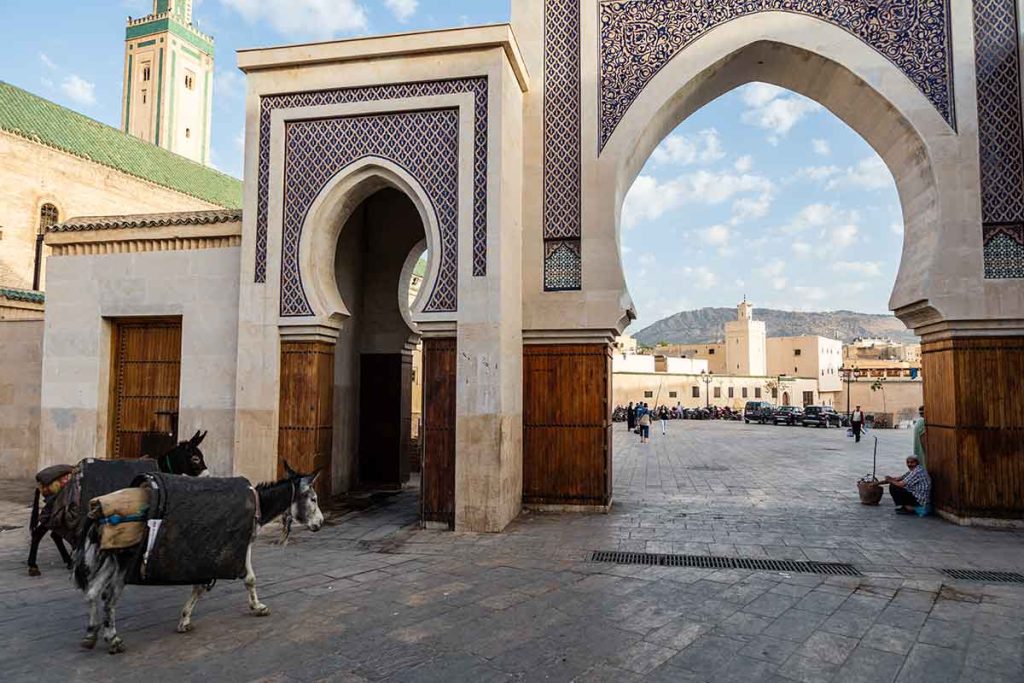 Visita di Fez