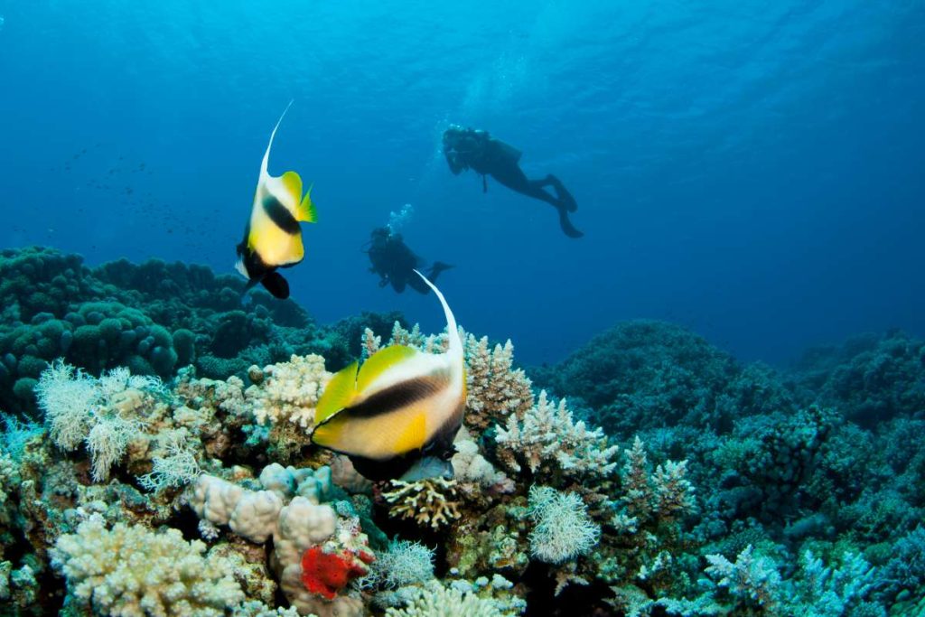 Cosa fare a Dahab