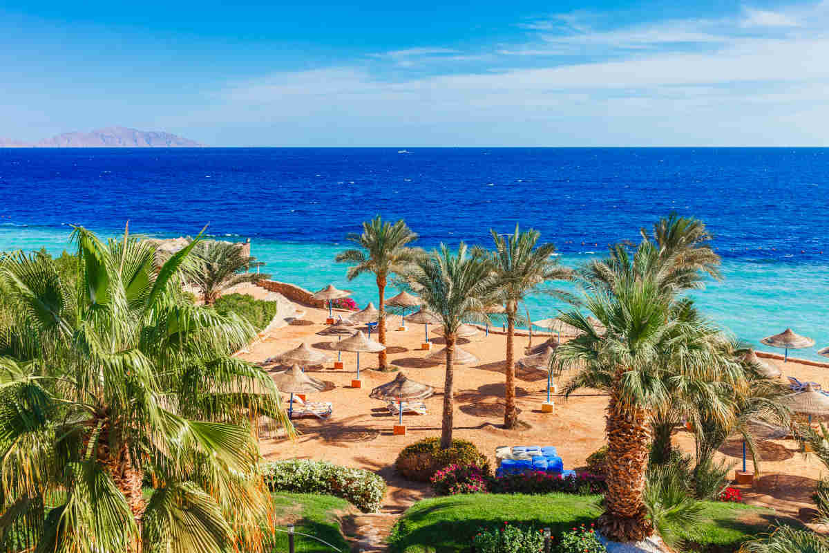 Home 16 What We Mean by the Red Sea in Egypt